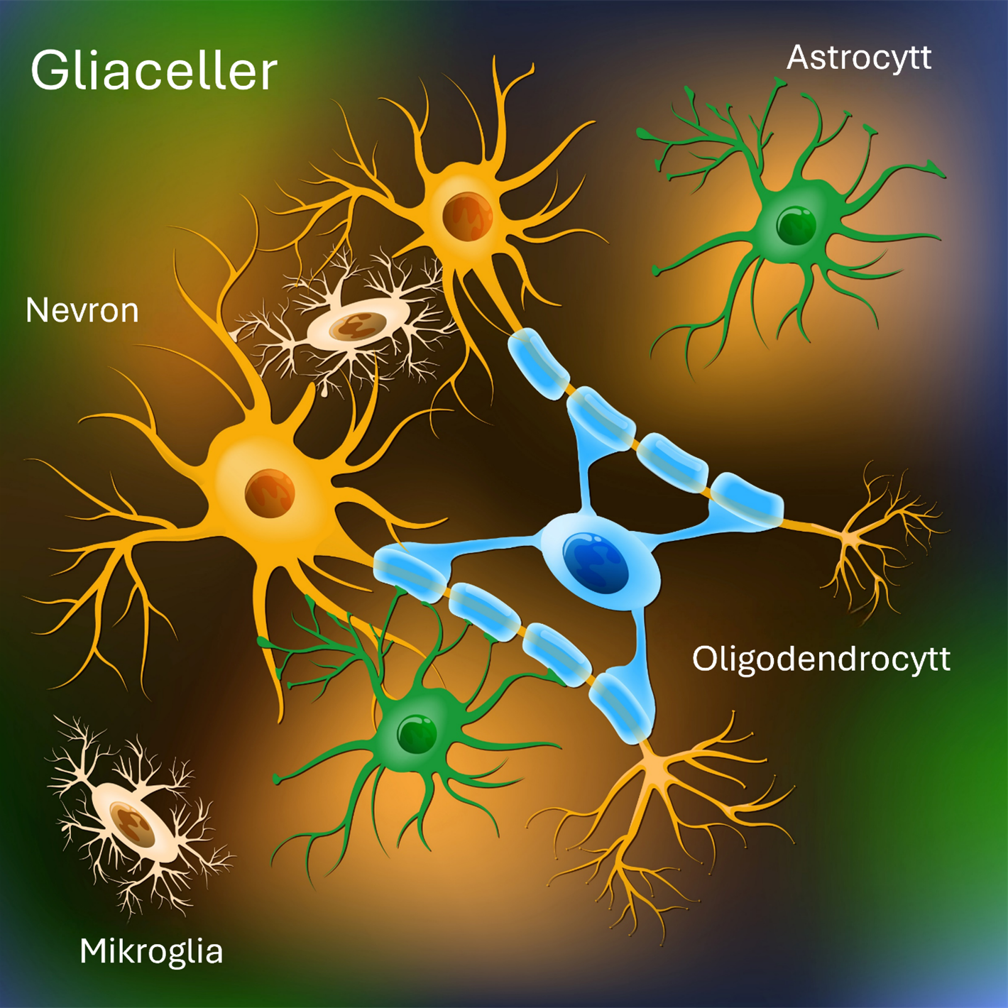 Astrocytom grad 2 (diffus)